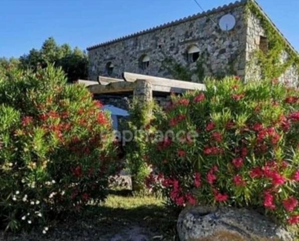 Maison de charme à vendre 4 pièces MOLTIFAO (20) terrain 2360m2