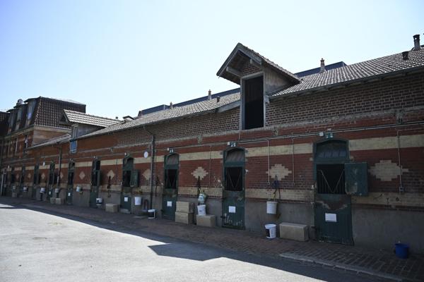 Chantilly (60500) Écurie professionnelle à l’entrée de la forêt de Chantilly