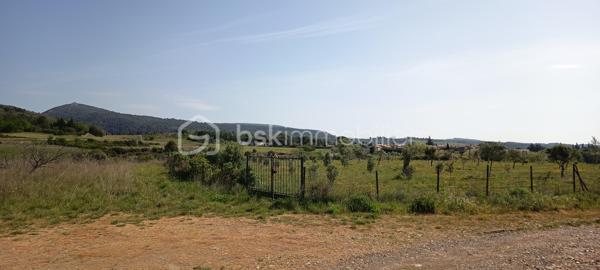 Terrain agricole de 11 911 m²