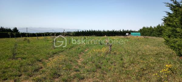 Terrain agricole de 11 911 m²