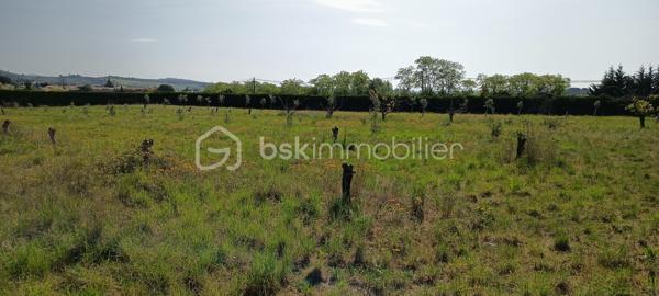 Terrain agricole de 11 911 m²