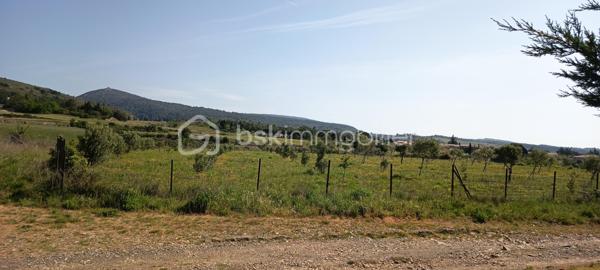 Terrain agricole de 11 911 m²