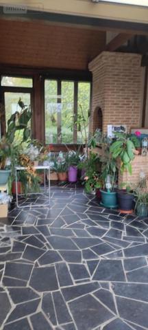 Maison à vendre à Yvetot en Seine-Maritime (76190), ref : PL307