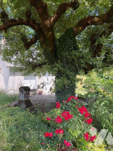 A VENDRE, sur la commune de BARRIAC LES BOSQUETS (Cantal), une charmante maison à rénover compr...