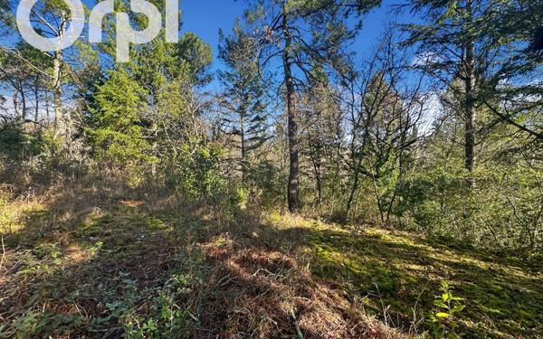 Terrain à vendre    Saint-Étienne-de-Fontbellon