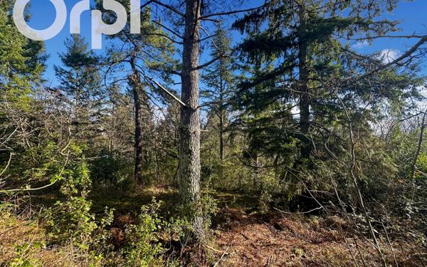 Terrain à vendre    Saint-Étienne-de-Fontbellon