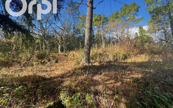 Terrain à vendre    Saint-Étienne-de-Fontbellon