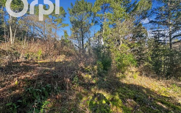 Terrain à vendre    Saint-Étienne-de-Fontbellon