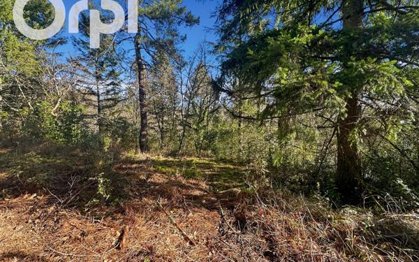 Terrain à vendre    Saint-Étienne-de-Fontbellon