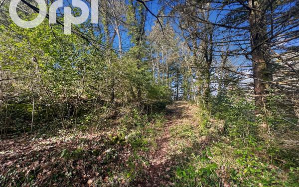 Terrain à vendre    Saint-Étienne-de-Fontbellon