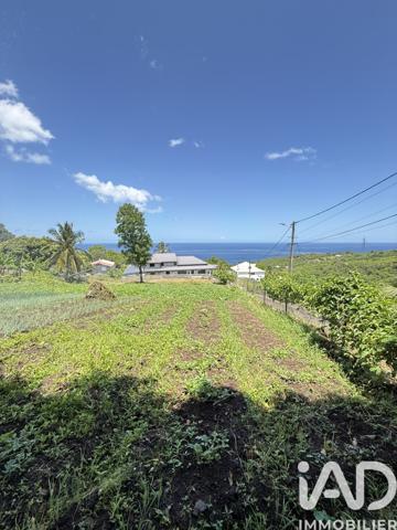 Terrain à vendre 1 000 m² Vieux-Habitants