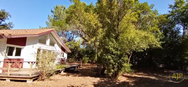 Maison à vendre Lege Cap Ferret - 4 pièces, 110m² avec 3 chambre(s) à 452 000€ - AJP Immobilier Lège-Cap-Ferret