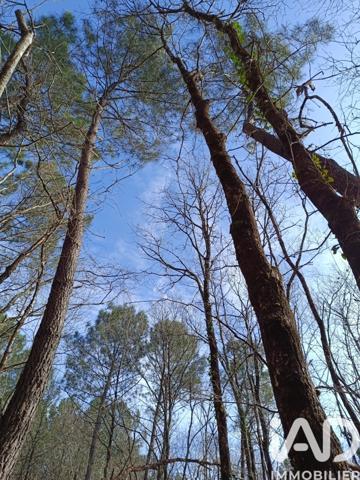 Terrain à vendre 7 302 m² Lesparre-Médoc