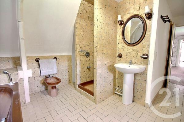 Maison à vendre  8 pièces - 275,44 m2 COUR CHEVERNY - 41