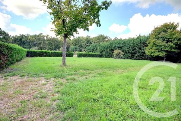 Maison à vendre  8 pièces - 275,44 m2 COUR CHEVERNY - 41