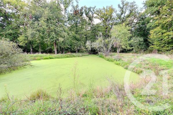 Maison à vendre  8 pièces - 275,44 m2 COUR CHEVERNY - 41