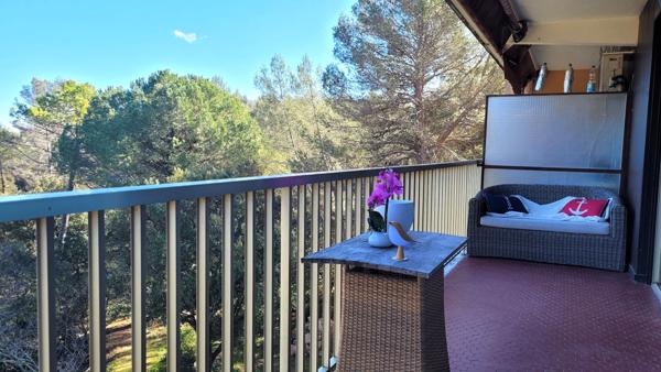 Appartement Peymeinade 2 pièces 45.76 m2, terrasse