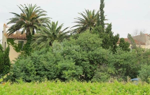 Vente Mas pour création de gite à rénover Saleilles   