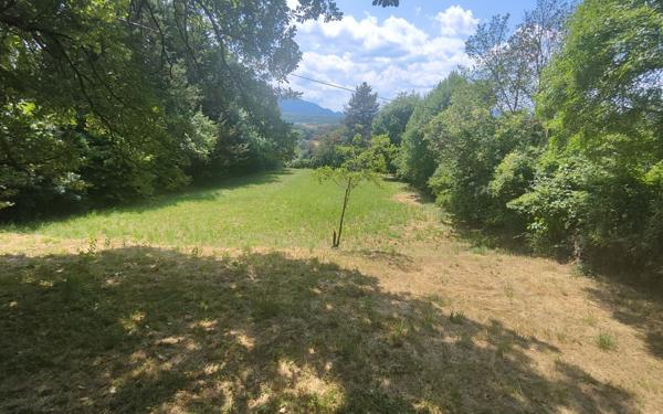 Terrain à vendre    Sisteron
