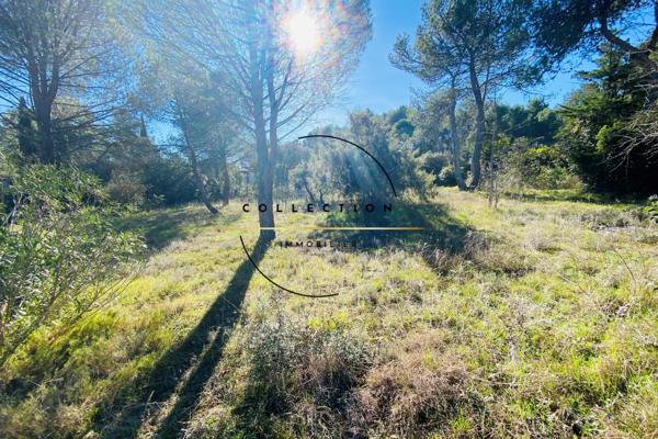 Montferrier-sur-Lez (34980) Terrain plat viabilisé / secteur très résidentiel