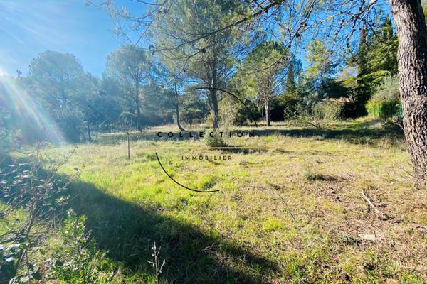 Montferrier-sur-Lez (34980) Terrain plat viabilisé / secteur très résidentiel
