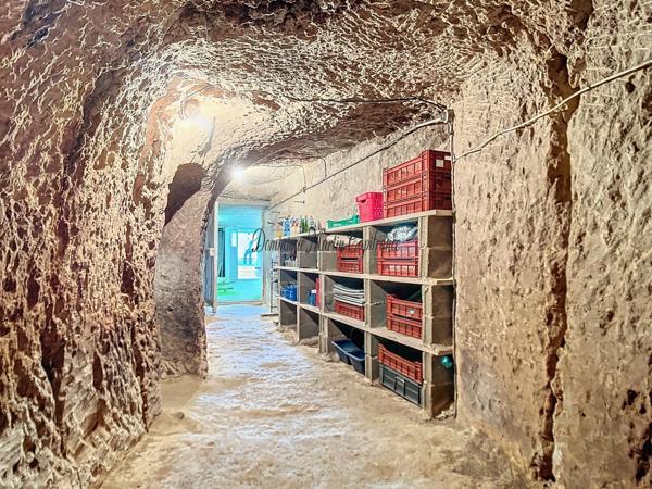 COUTURE SUR LOIR (dpt 41),Maison à vendre 85m²- 4 pièces-dépendance-garage-caves - terrain 2372m²