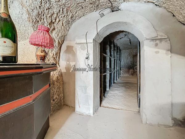 COUTURE SUR LOIR (dpt 41),Maison à vendre 85m²- 4 pièces-dépendance-garage-caves - terrain 2372m²