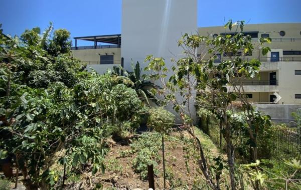 Vente Terrain Sainte-clotilde   