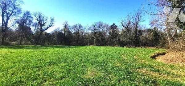 Propriété à Vendre à Saint-Martin-de-Crau (13310) en Bouches-du-Rhône (13)

Nous vous présent...