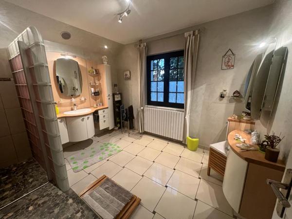 SUPERBE PROPRIETE 2 MAISONS  HANGAR PISCINE GARAGES TERRAIN 3756 M² PROCHE  HERICOURT