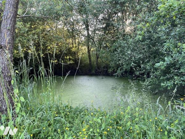 CAMPAGNE NOELLET - LONGERE