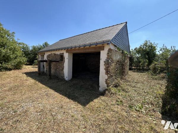 CAMPAGNE NOELLET - LONGERE