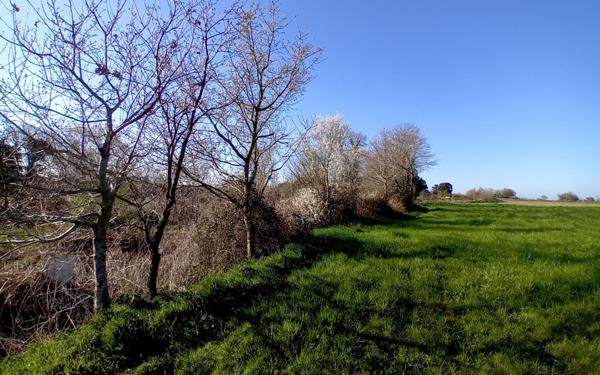 Maison à vendre    5 pièces • 196,35 m2 Plestin-les-Grèves