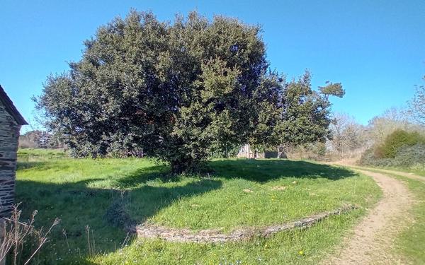 Maison à vendre    5 pièces • 196,35 m2 Plestin-les-Grèves