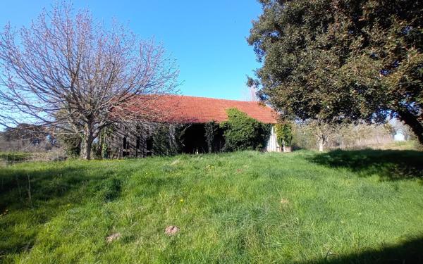 Maison à vendre    5 pièces • 196,35 m2 Plestin-les-Grèves