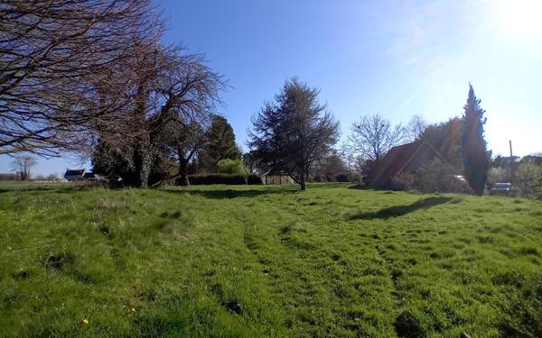 Maison à vendre    5 pièces • 196,35 m2 Plestin-les-Grèves