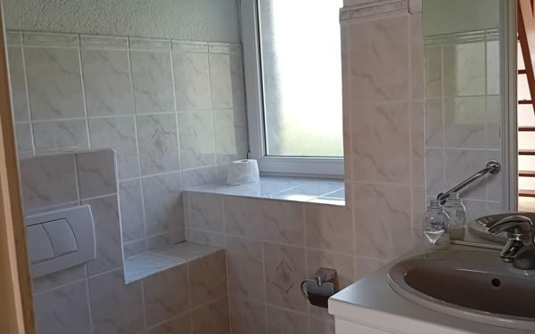 Maison à vendre    5 pièces • 196,35 m2 Plestin-les-Grèves