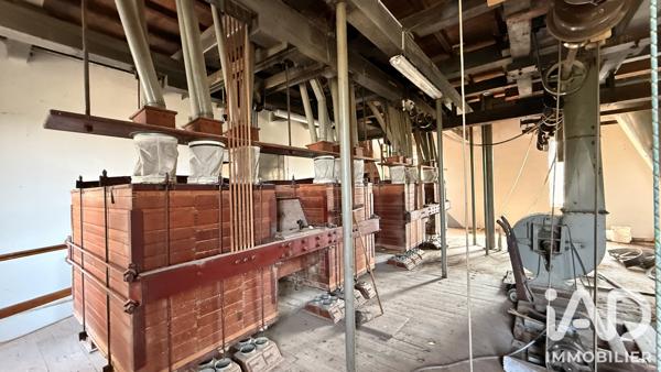 Maison à vendre 11 pièces 291 m² Roanne