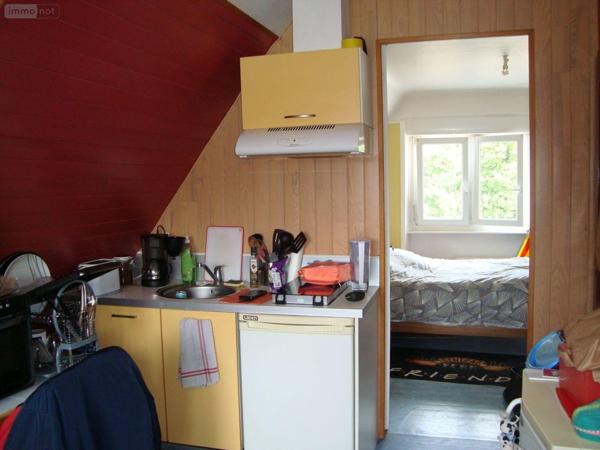 Local mixte (Pro/Hab) à vendre à Pontivy dans le Morbihan (56300), ref : 063-166
