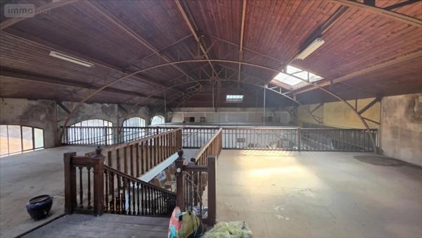 Achat - Immeuble Châtillon-sur-Indre 36700 2500 m 2 1647 m 2