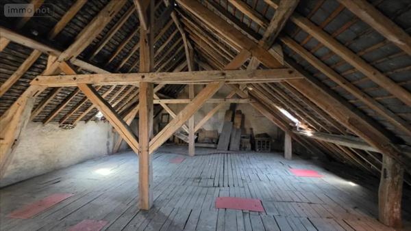 Achat - Immeuble Châtillon-sur-Indre 36700 2500 m 2 1647 m 2