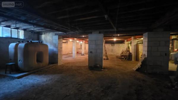 Achat - Immeuble Châtillon-sur-Indre 36700 2500 m 2 1647 m 2