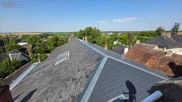 Achat - Immeuble Châtillon-sur-Indre 36700 2500 m 2 1647 m 2