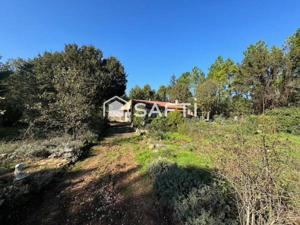 Maison T3 avec véranda sur grand terrain boisé
