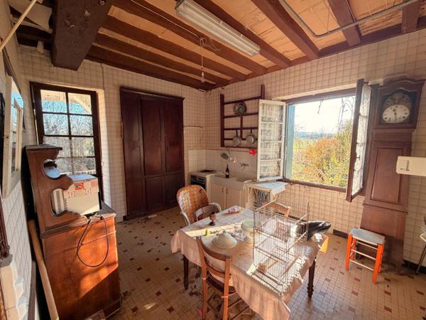 Saint-Vite (47500) Demeure de charme du XIX eme à réhabiliter sur 1 hectare