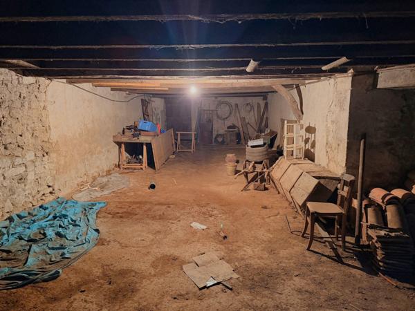 Saint-Vite (47500) Demeure de charme du XIX eme à réhabiliter sur 1 hectare