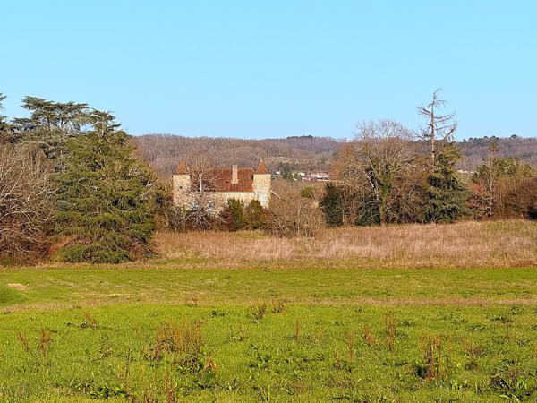 Saint-Vite (47500) Demeure de charme du XIX eme à réhabiliter sur 1 hectare