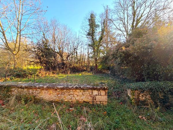 Saint-Vite (47500) Demeure de charme du XIX eme à réhabiliter sur 1 hectare