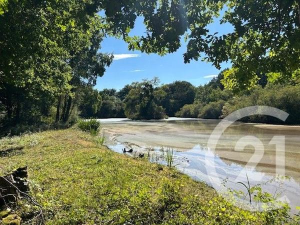 Terrain à vendre  56730 m2 LASSAY SUR CROISNE - 41