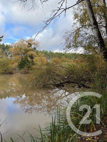Terrain à vendre  56730 m2 LASSAY SUR CROISNE - 41